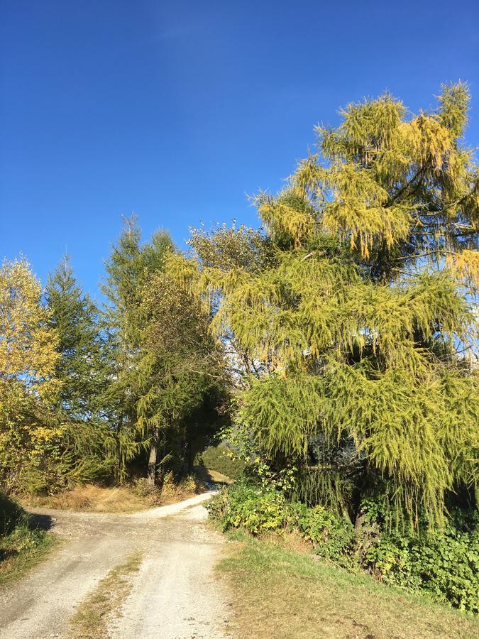 Villa Alessandra 科勒·伊萨尔科 外观 照片